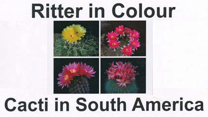 ritter in colour hunt hoxey