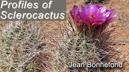 profiles of sclerocactus